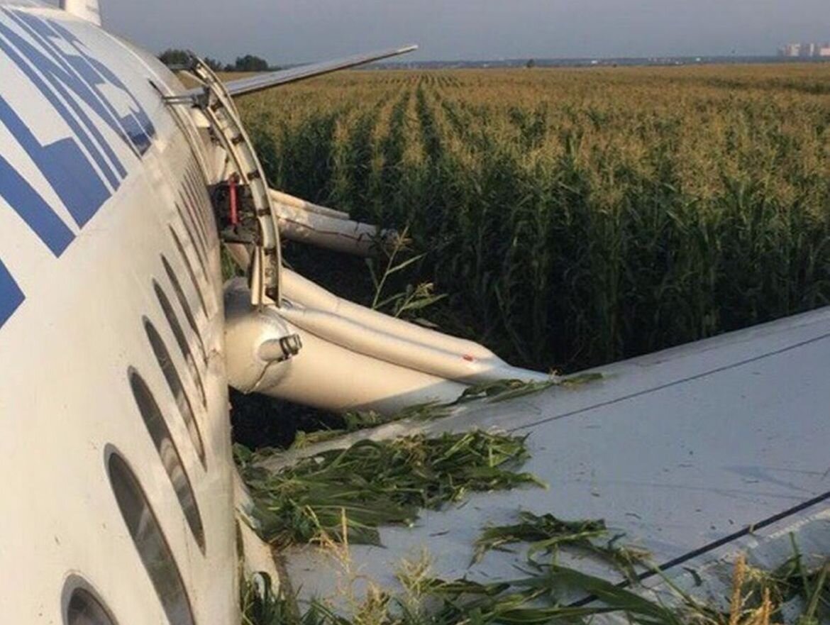 Аварийная посадка в кукурузном поле