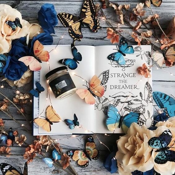 Фото: https://www.pinterest.com/pin/425308758559242700/