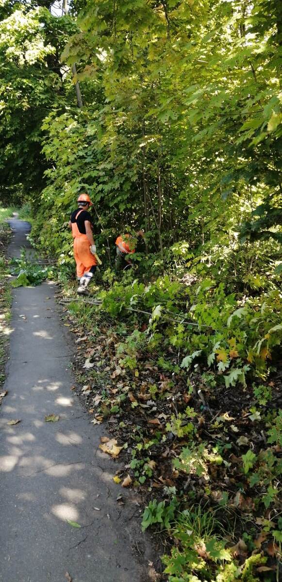Удаление кустов и деревьев.