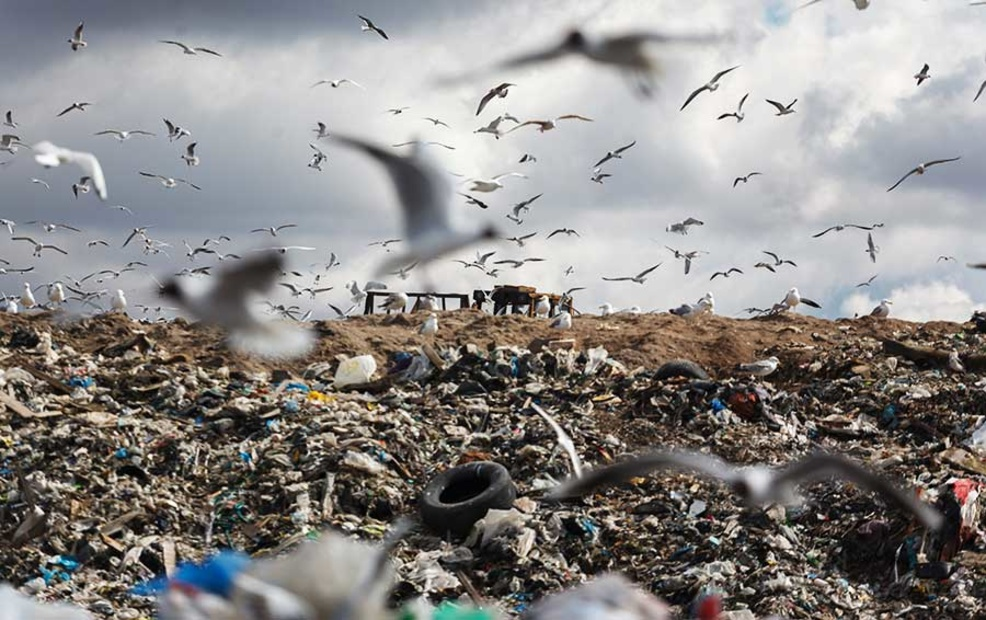 Мусорный ветер дым из трубы. Мусорный ветер. Мусорный ветер платонов. Мусорный ветер. Мусорный ветер арт.