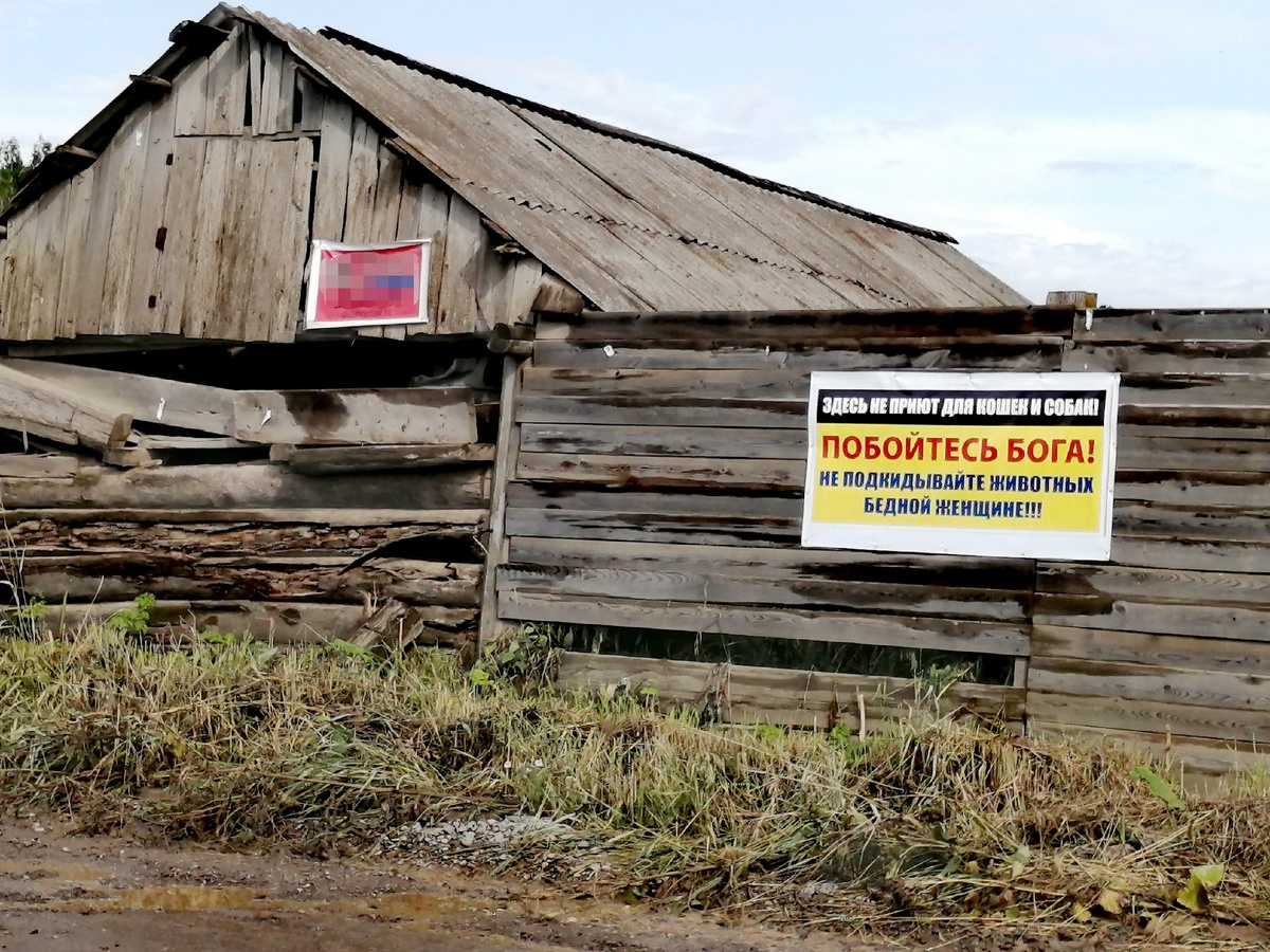 Дом на окраине деревни, который стал притом для животных