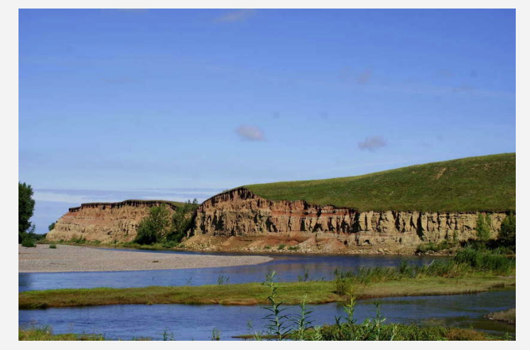                     Кости найдены в разрезе Шестаковский Яр)   Кемеровской области. 
