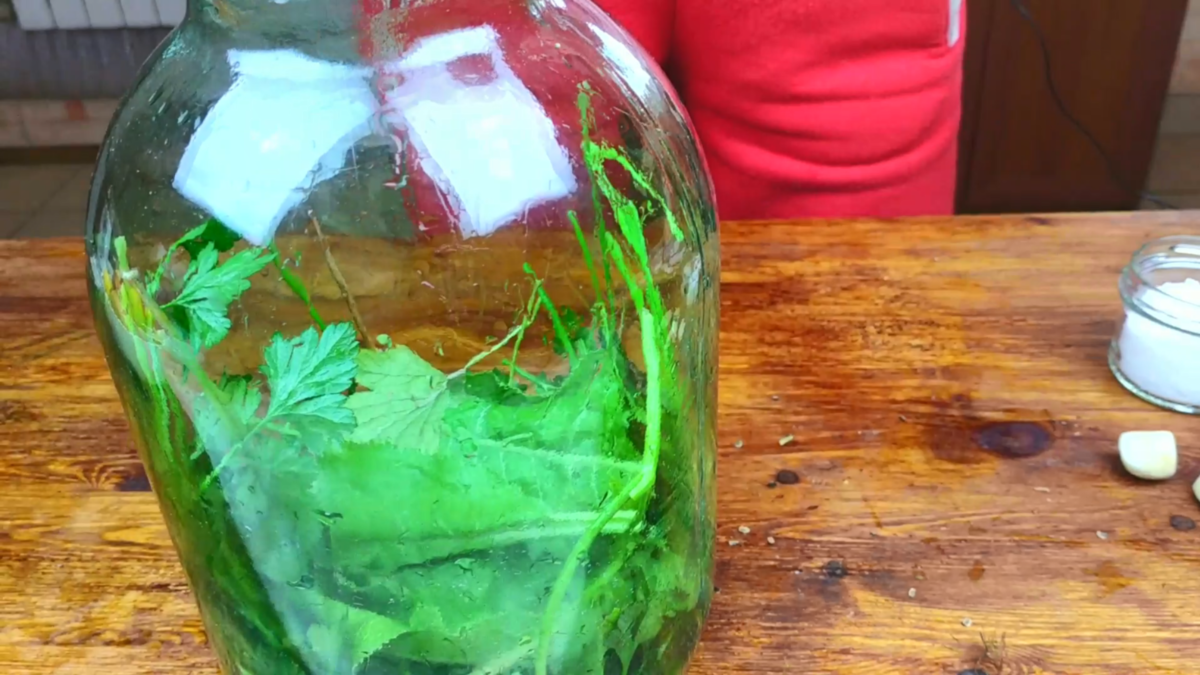 помидоры в банке на зиму