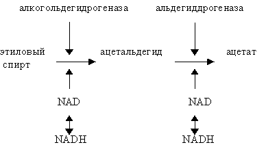 ацетат =уксусная кислота