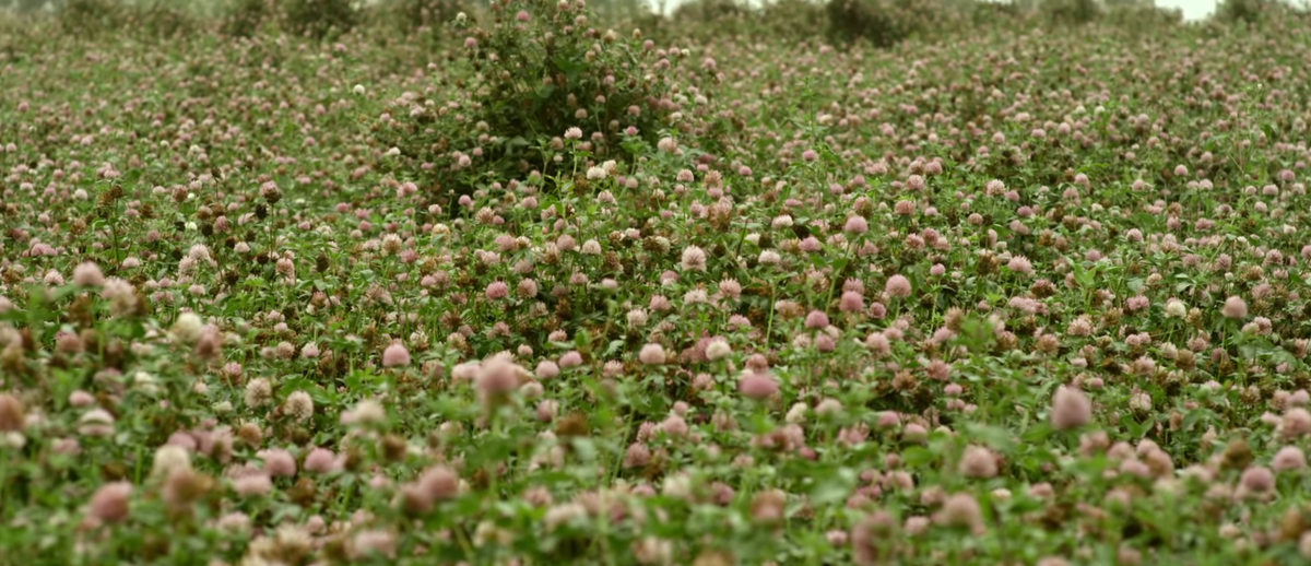 кадр из фильма