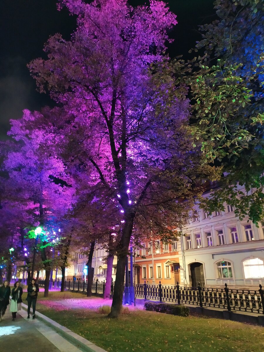 Приятная подсветка деревьев.Фото из собственного архива