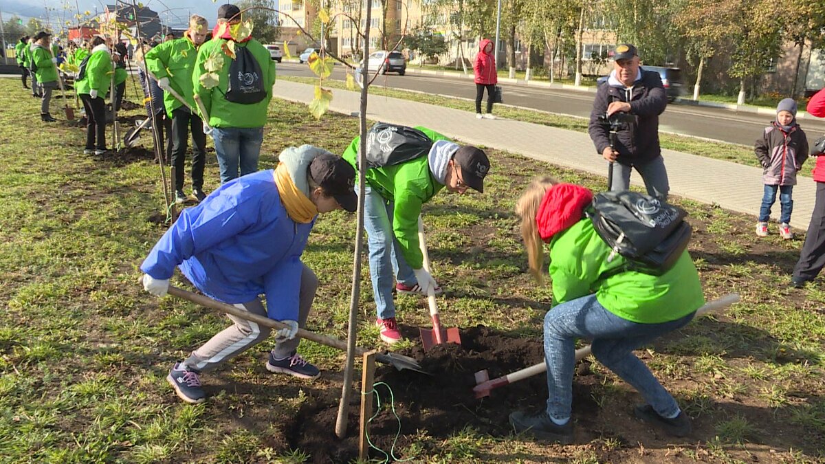 Фото: "Вести-Владимир"