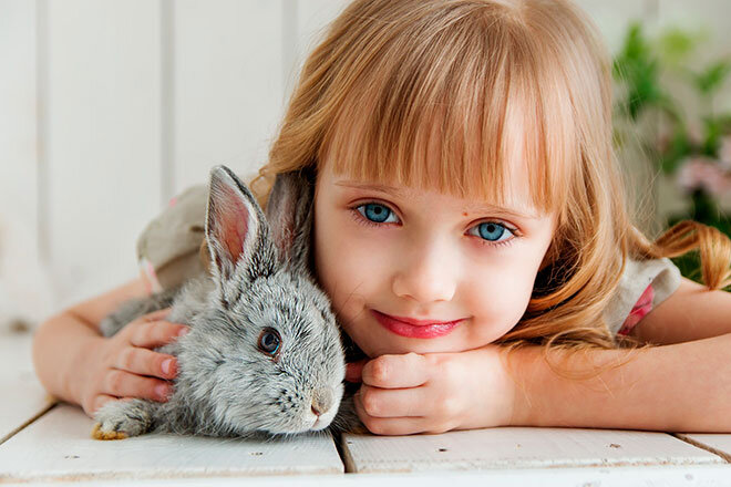 Фото: pixabay.com