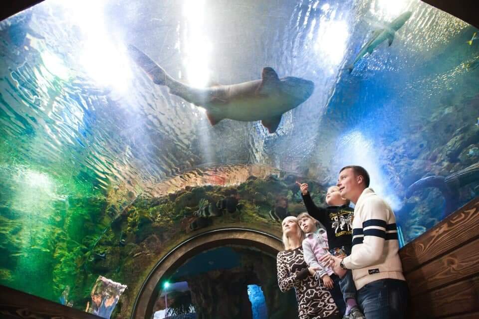 Воронежский океанариум