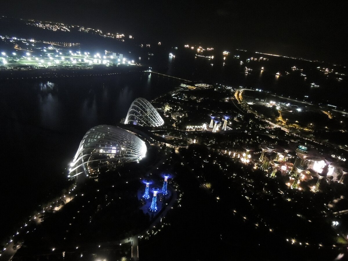 «Сады у залива», Gardens by the Bay, люблю ночные города