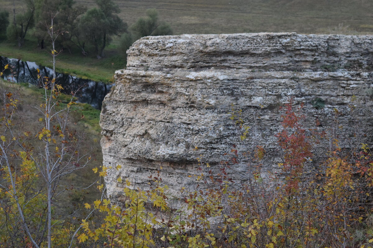 Воргольские скалы в Липецкой области. Фото Артюхова Д.