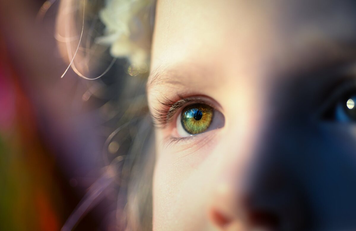 https://images.pexels.com/photos/322070/pexels-photo-322070.jpeg?auto=compress&cs=tinysrgb&dpr=2&h=650&w=940