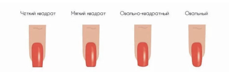 Фото из Яндекс.Картинки