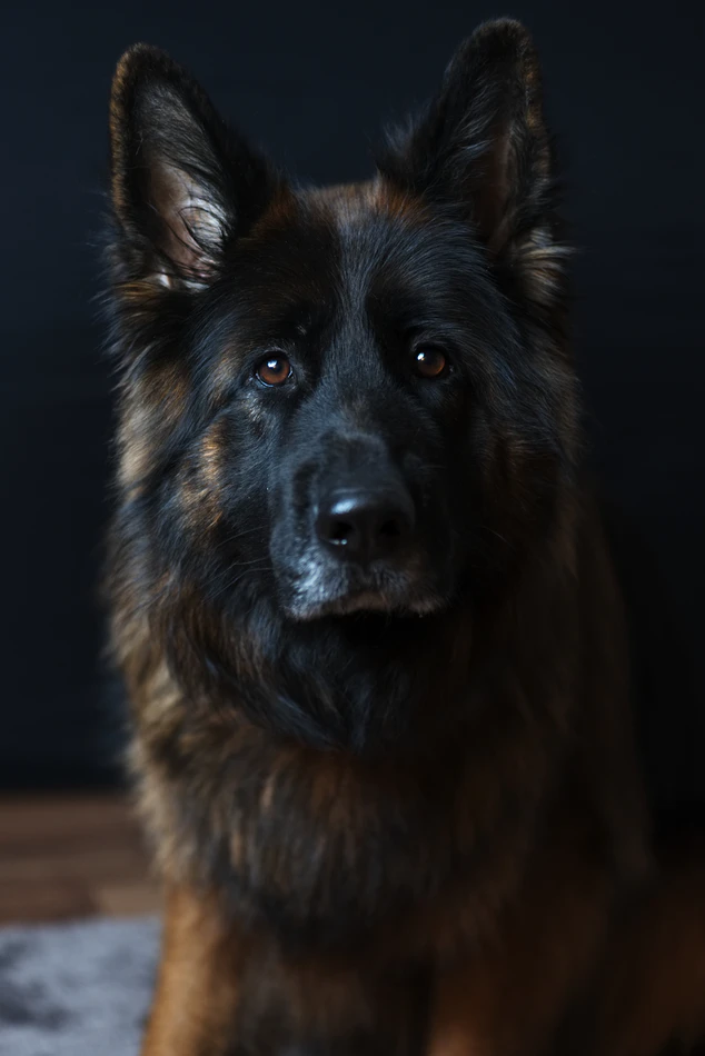 https://unsplash.com/photos/Jr_DkO3Ow14
