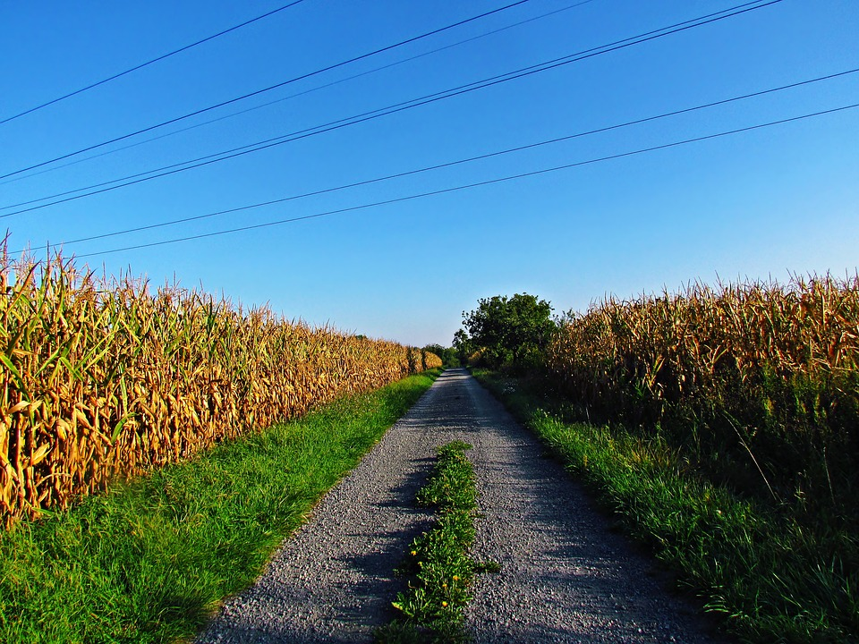 https://cdn.pixabay.com/photo/2017/08/26/22/33/field-2684561_960_720.jpg
