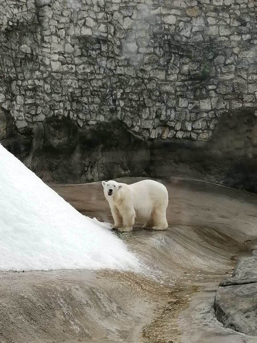 Московский зоопарк.