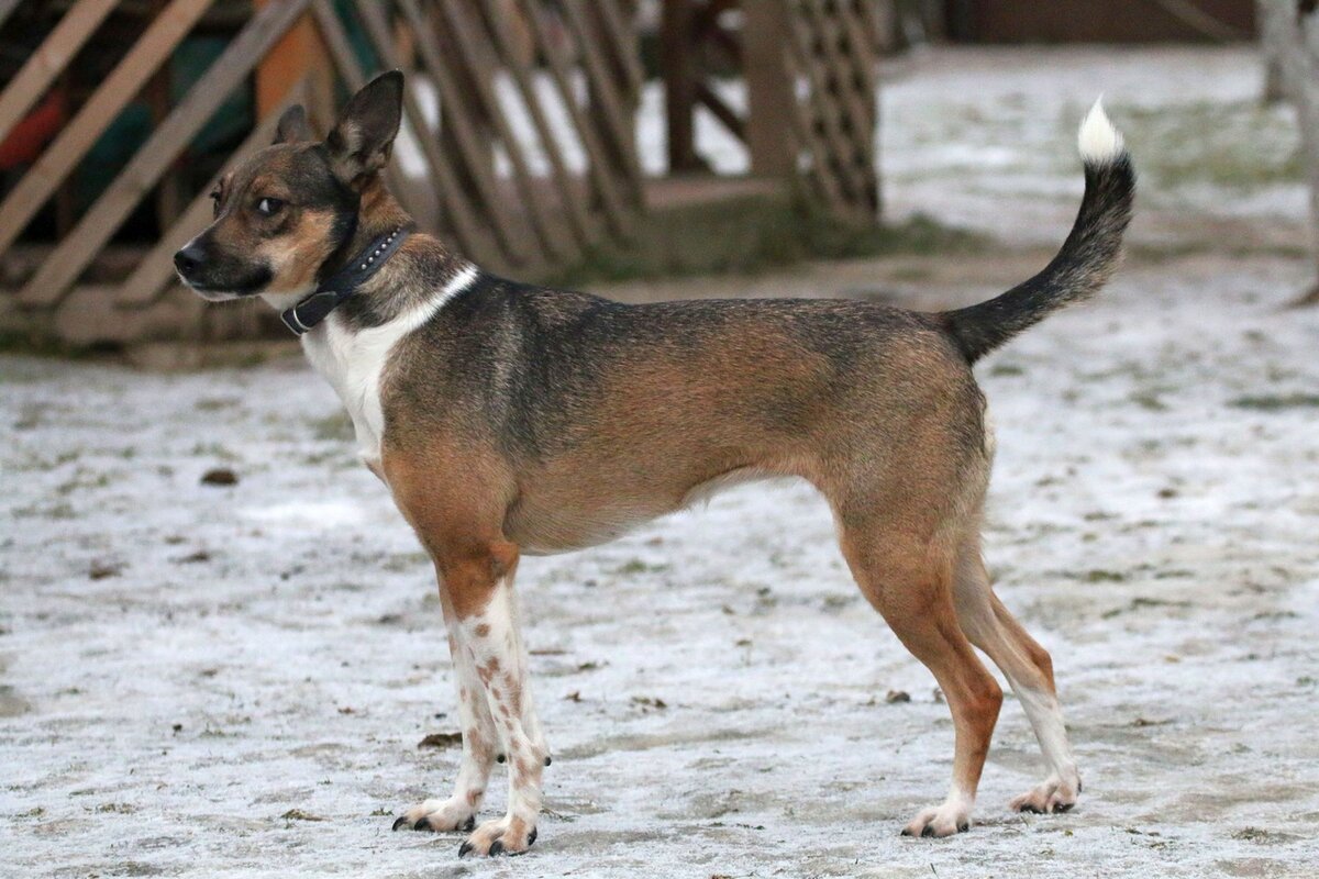 Кира - выпускница Банды Дворян