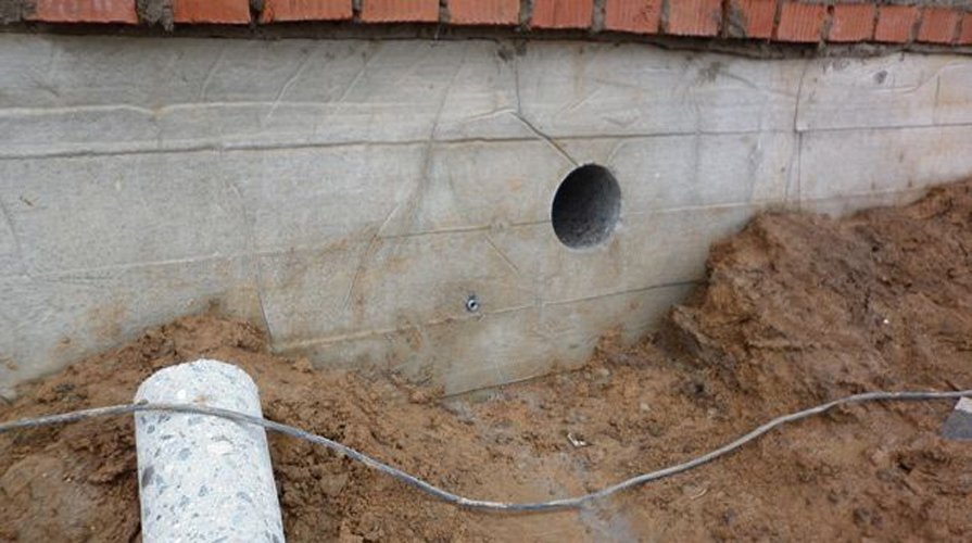 Фото: Яндекс Картинки