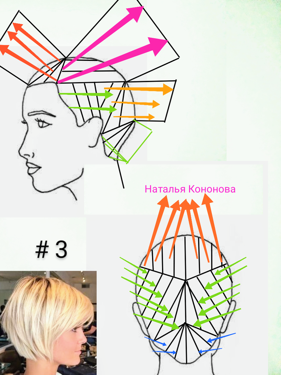 Схема градуированной стрижки на средние волосы