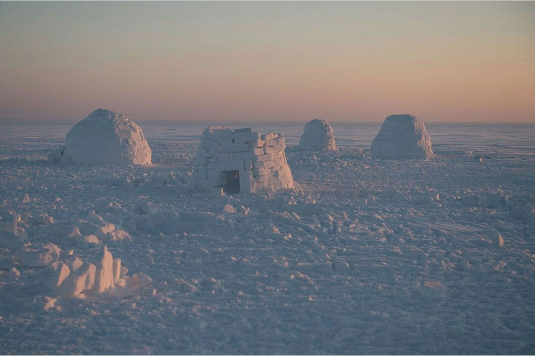 Автор фото - Анна Маслова