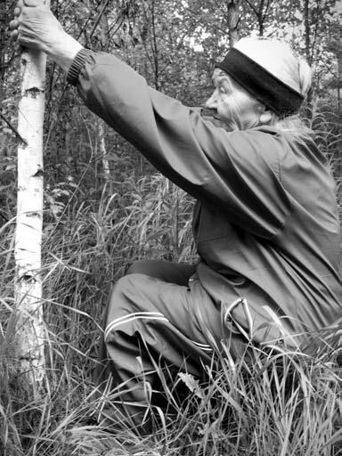 Из открытых источников Яндекса