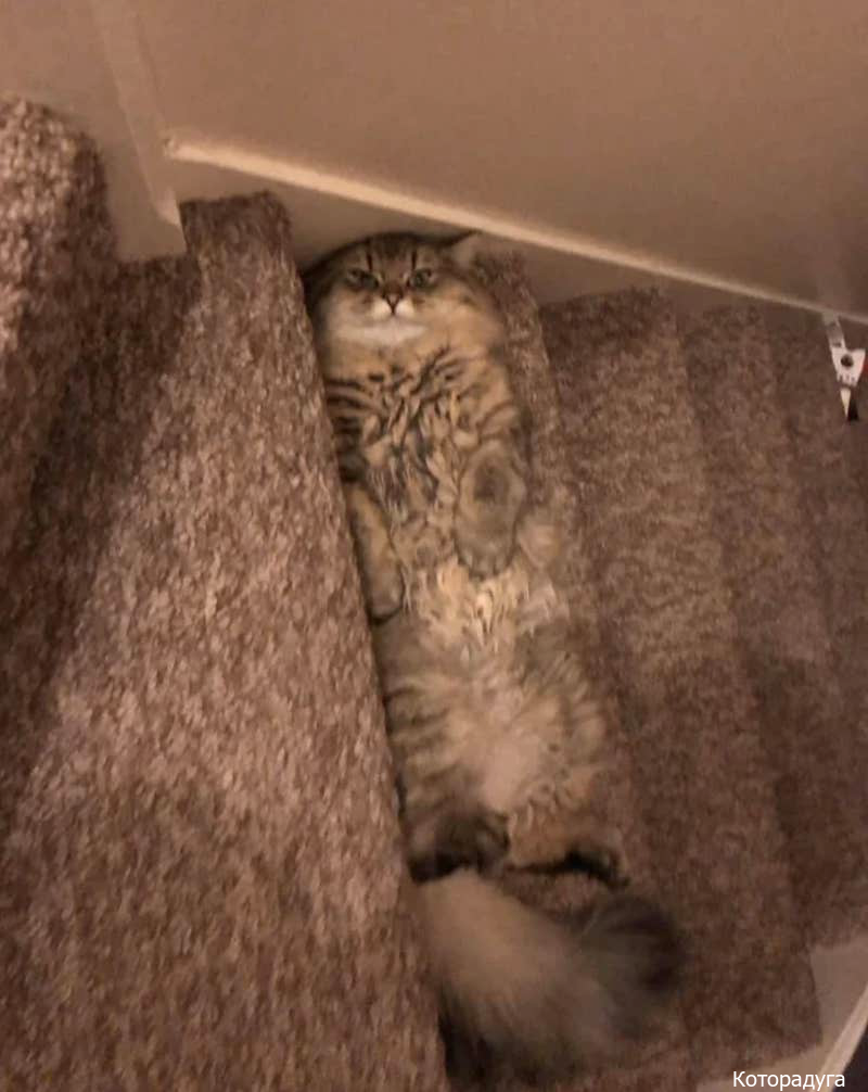 Источник: pinterest.ru