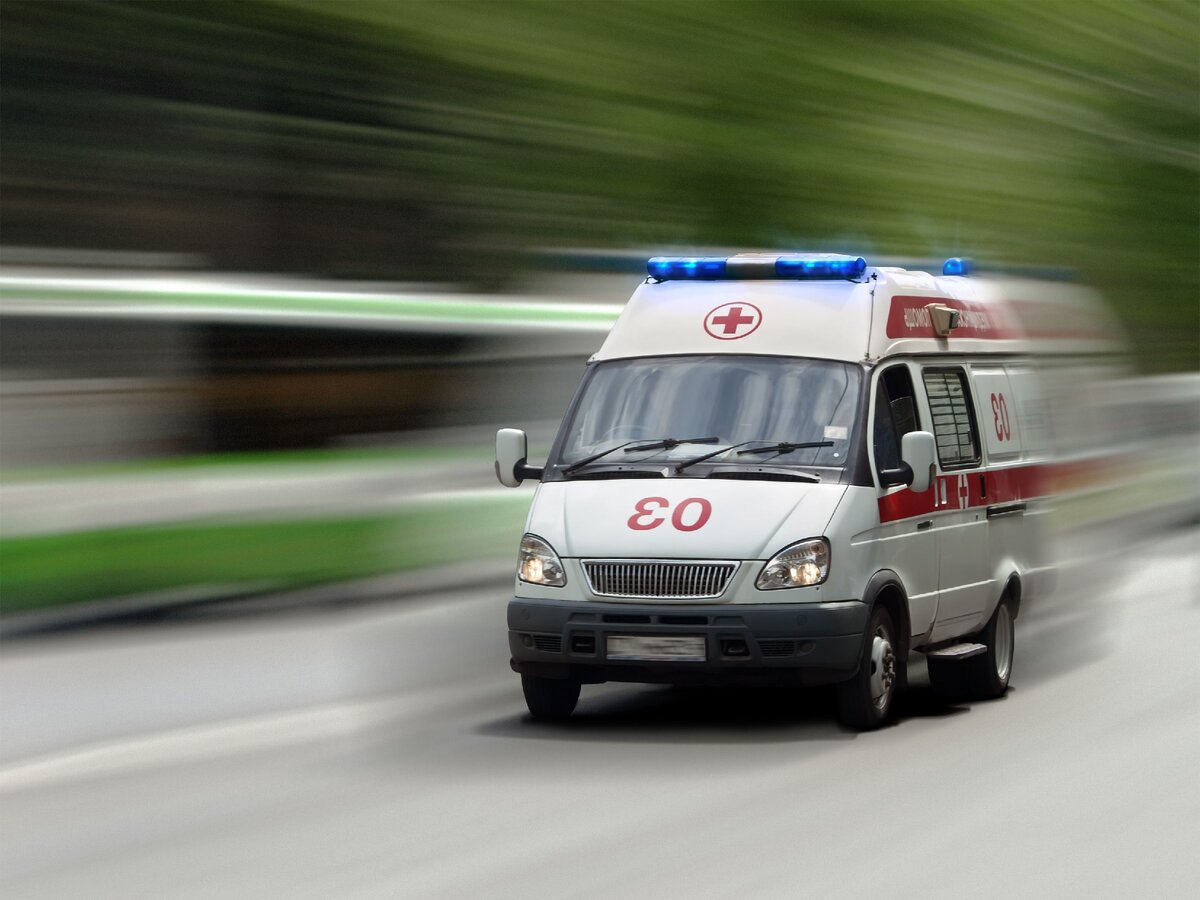 Источник: Яндекс Картинки