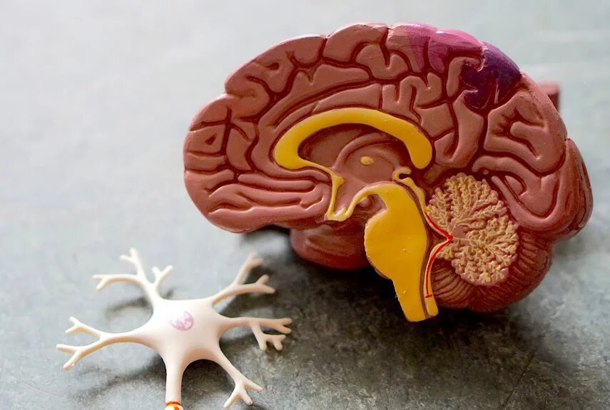 Фото: unsplash.com