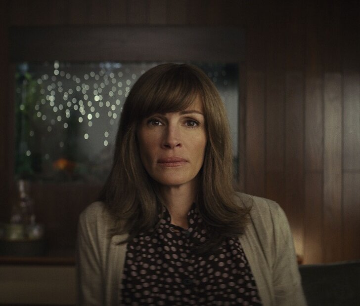 Источник: © Homecoming / Amazon Video  