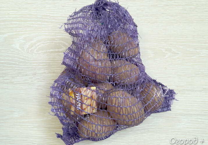 Семенной картофель Удача