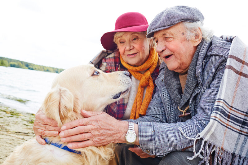 Пет-терапия помогает уменьшить боль и потребность в обезболивающих препаратах, снизить стресс, уменьшить усталость, повысить общий жизненный тонус, усилить желание жить.