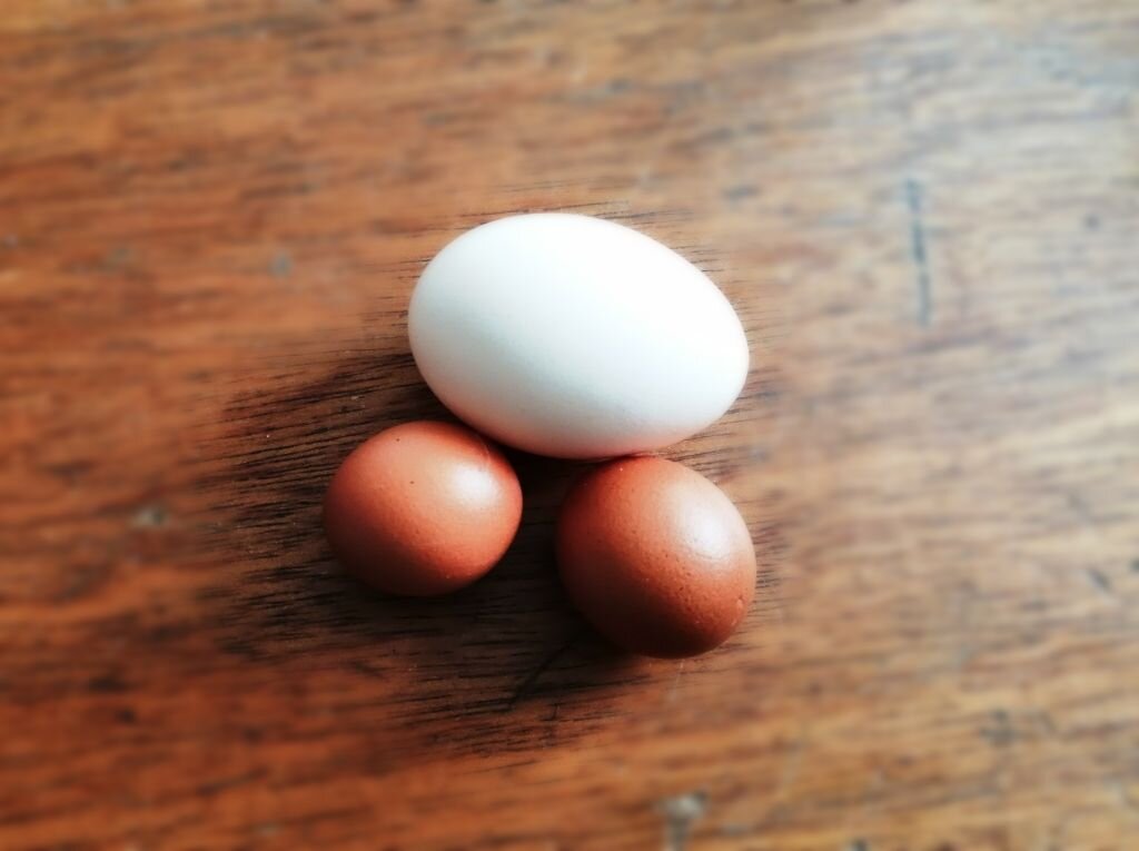 Порой куры приносят очень мелкие яйца