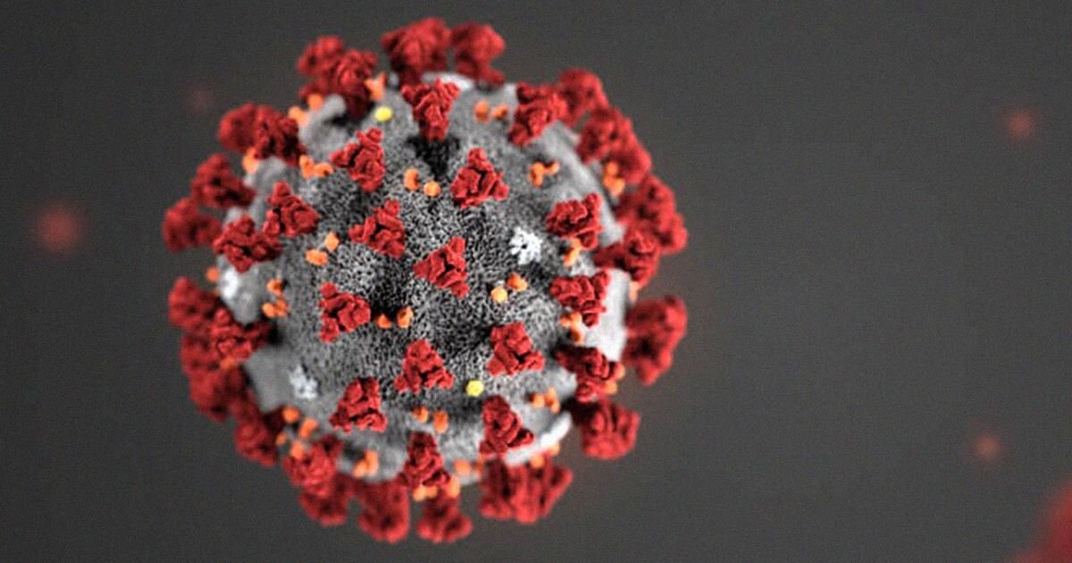 
Первые случаи пневмонии, вызванной неизвестным ранее типом коронавируса, были зарегистрированы в китайском городе Ухань провинции Хубэй. Вспышка инфекции, возникшая на местном рынке экзотических продуктов, быстро охватила всю страну и вскоре вышла за ее пределы. 11 марта ВОЗ признала начало пандемии. К этому времени волна заболевших в Китае пошла на спад, а эпицентр вспышки коронавируса переместился в Европу[1].

Как это часто бывает в экстремальных ситуациях, общественные настроения разделились на два полюса: на одном — паника, на другом — полное отрицание проблемы. Оба типа поведения в равной мере опасны и никоим образом не помогают в борьбе с пандемией. Чтобы действовать в соответствии со здравым смыслом, нужно знать правду о коронавирусе — о его симптомах, путях передачи и мерах профилактики.

кАК ПЕРЕДАЁТСЯ КОРОНАВИРУС И ПОЧЕМУ ИМ ЗАБОЛЕЛО СТОЛЬКО ЛЮДЕЙ?
Прежде чем говорить об эпидемиологических данных, стоит разобраться в том, что такое коронавирус у человека. Поэтому для начала немного справочной информации.

Семейство коронавирусов объединяет около 40 видов вирусов. Некоторые из них способны вызывать ОРВИ и пневмонию у людей. Коронавирус был открыт в 60-е годы XX века, но ученые впервые обратили на него пристальное внимание в 2002 году, когда в Китае началась эпидемия атипичной пневмонии. Заболевание, вызываемое одним из вирусов этого семейства, отличалось высокой летальностью: из 8273 заболевших в мире умерло 775 человек[2]. А в 2015 году в Южной Корее была отмечена вспышка «ближневосточного респираторного синдрома», возбудителем которого оказался другой тип коронавируса. Жертвами эпидемии стали 33 человека (из 183 заболевших). Сейчас миру угрожает новый коронавирус, получивший официальное имя SARS-CoV-2 (провоцируемое им заболевание называется COVID-2019).

ЭТО ВАЖНО!!!
Само название семейства вирусов указывает на необычное строение: их оболочка окружена выступами в виде короны, которые выполняют особую функцию. Если говорить простым языком, они «обманывают» рецепторы клеток организма, имитируя полезные молекулы. Тем самым облегчается проникновение вирусов в клеточные мембраны, то есть заражение. При этом свойства разных штаммов различаются. Вирус, вызывающий COVID-2019, более заразен, чем возбудитель атипичной пневмонии, так как он легче проникает в мембрану клетки[3].

В чем же причина глобальной эпидемии коронавируса? Почему ее до сих пор не получилось остановить и количество заболевших растет с каждым днем? Одна из главных причин — в свойствах самого вируса. Инкубационный период инфекции длится до 14 дней, при этом болезнь заразна еще до момента появления первых признаков[4]. Таким образом, заболевшие коронавирусом могут распространять инфекцию, даже не зная о том, что являются носителями.

Распространение коронавируса происходит двумя основными путями — воздушно-капельным и контактным. Возбудитель попадает во внешнюю среду с выделениями больного — при кашле, чиханье, разговоре. Здоровый человек заболевает, вдыхая аэрозоль с вирусными частицами. Таков воздушно-капельный механизм заражения коронавирусом. Контактный путь передачи обусловлен способностью возбудителя некоторое время сохраняться на коже и предметах. Он реализуется при касании поверхностей (мебели, бытовой техники и электроники, поручней в транспорте, дверных ручек, кнопок лифтов, через мобильные телефоны, наличные деньги и так далее), а также напрямую при непосредственном взаимодействии с больными. В организм здорового человека вирус может проникнуть через слизистые глаз, носа, рта.