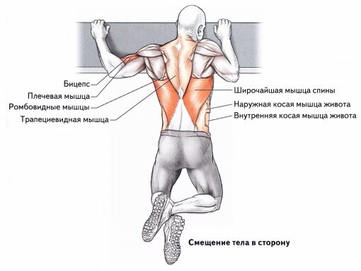 Ромбовидная мышца спины упражнения