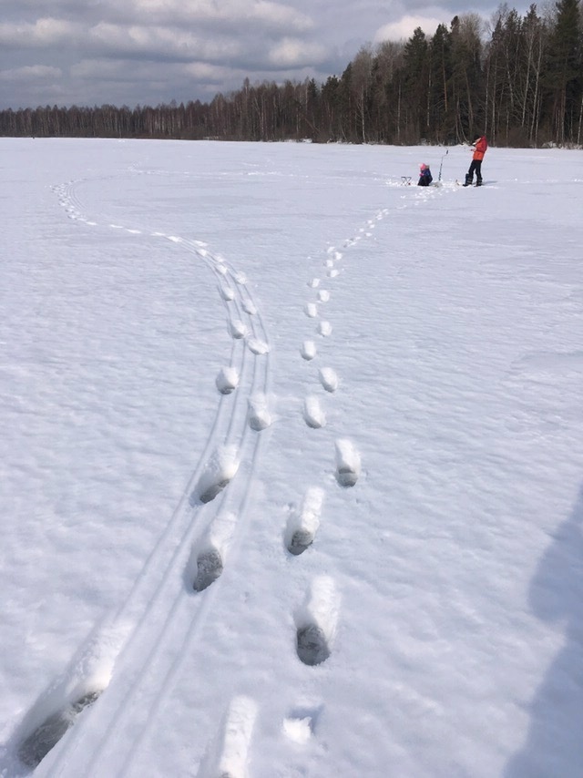 -2