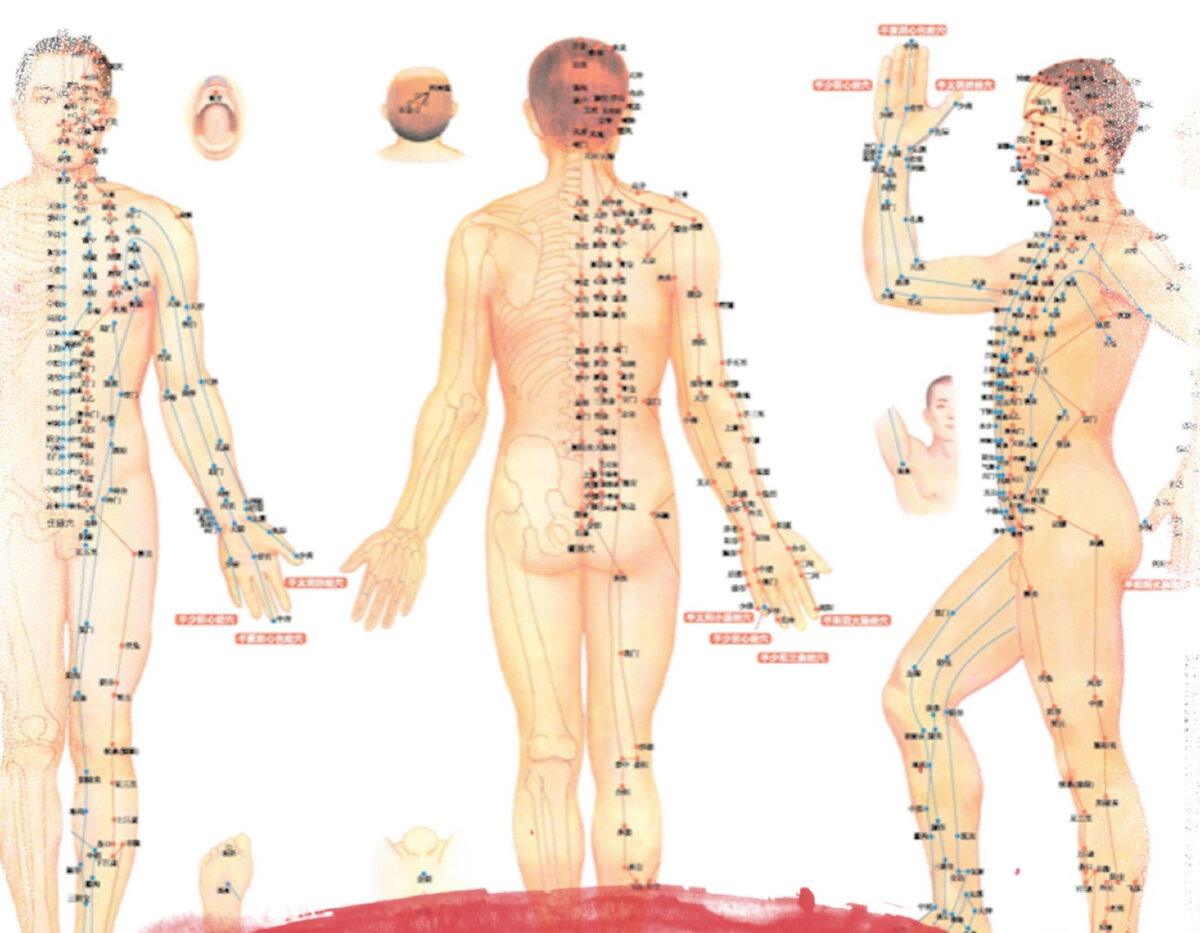 На теле человека находится 365 биоактивных точек, стимуляция которых в определенной последовательности запускает процессы самовосстановления организма. 
