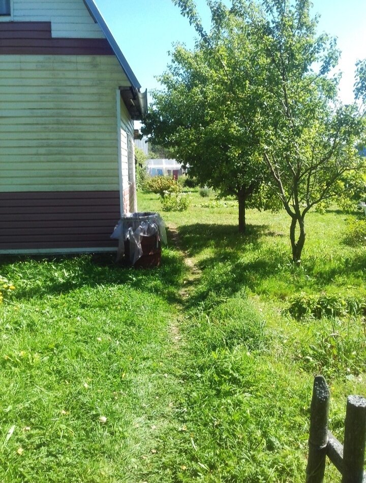   личное фото