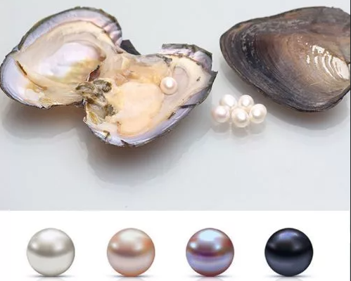 Рост ограничивается лишь условиями. Мы создаём благоприятные - подпишитесь