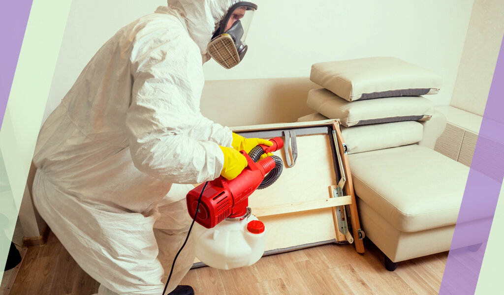 Рассказываю, где чаще всего поселяются неприятные "соседи".