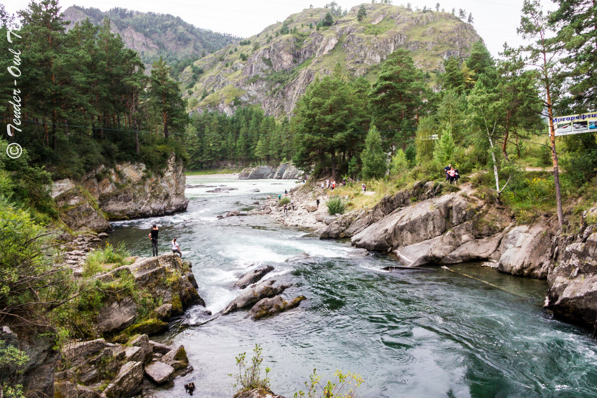 горный алтай август. гэс чемал горный алтай. река катунь чемал. погода чемал на 10 дней горный алтай. река чемал горный алтай.