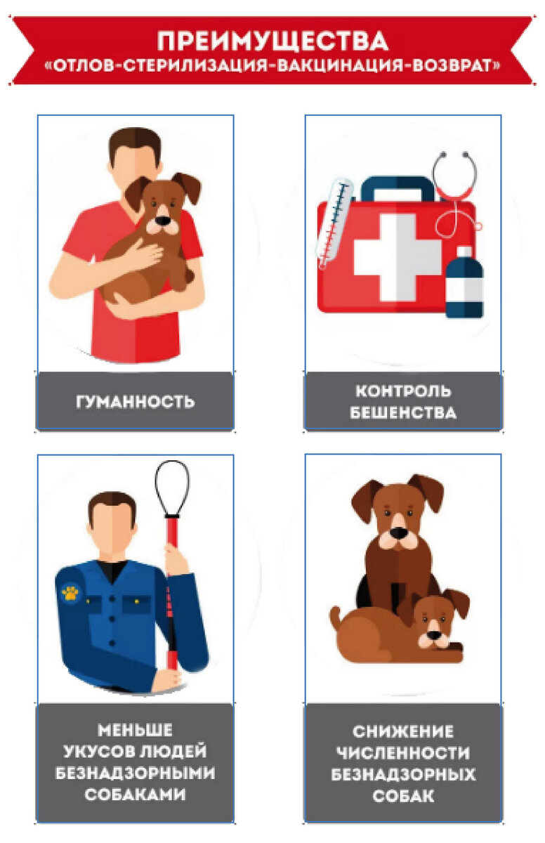 Программа освв для животных. Регулирование численности безнадзорных животных. Методика программы освв. Отлов стерилизация возврат. Программа освв для животных.