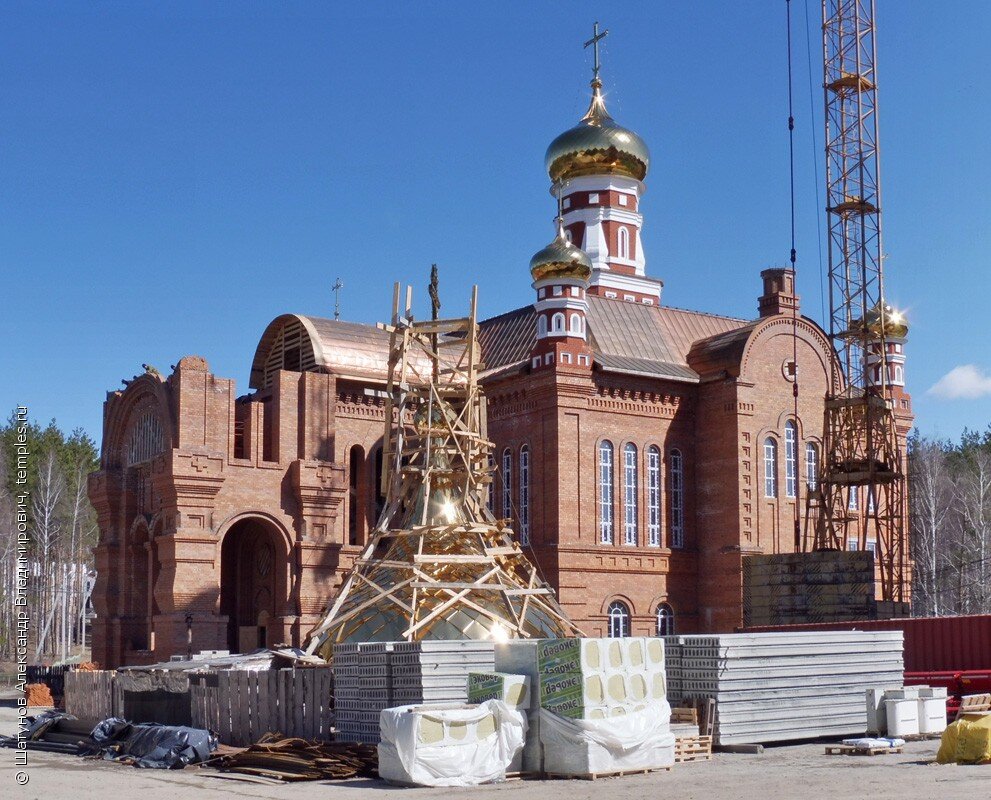 Фото из открытого доступа. Яндекс-картинки