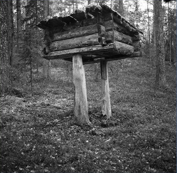 Домовина. Источник фото - https://voopiksol.ru/