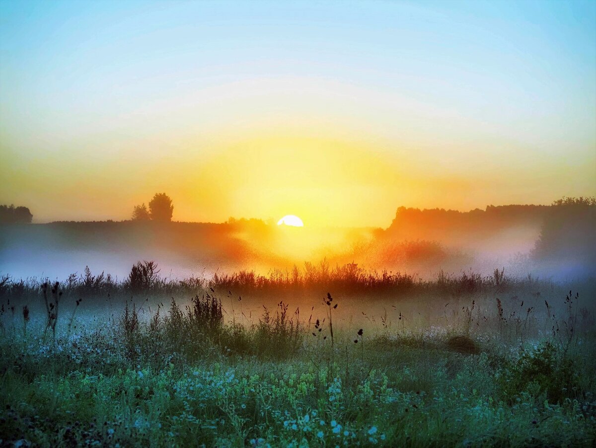 Из свободных источников.