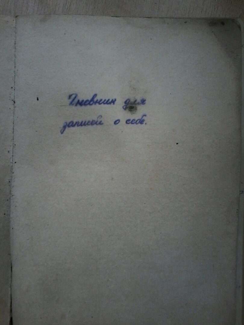 На титульной странице надпись: "Дневник для записей о себе."