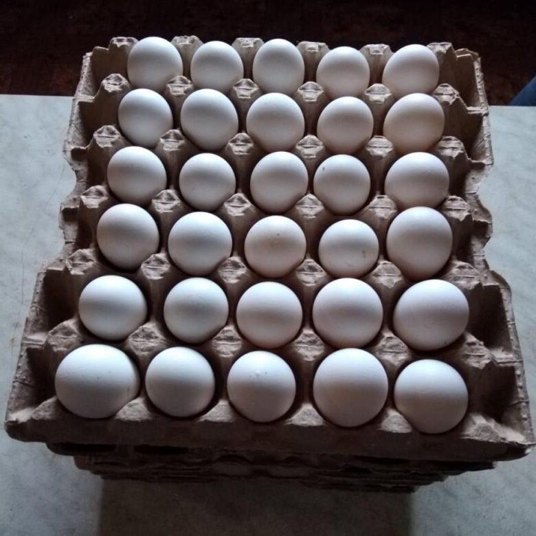 Очень удобно покупать яйца в лотках- так они не разобьются и останутся целыми и невредимыми)))