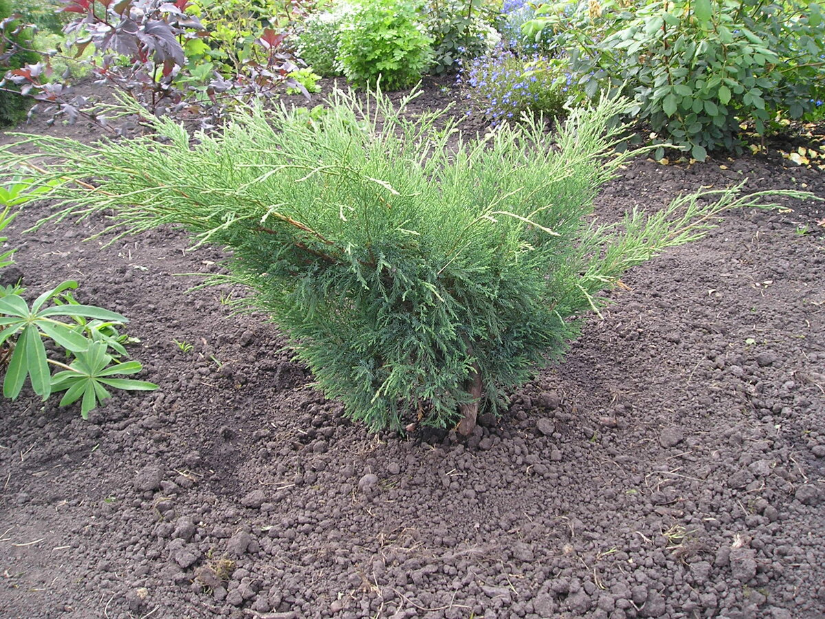 2015, сентябрь