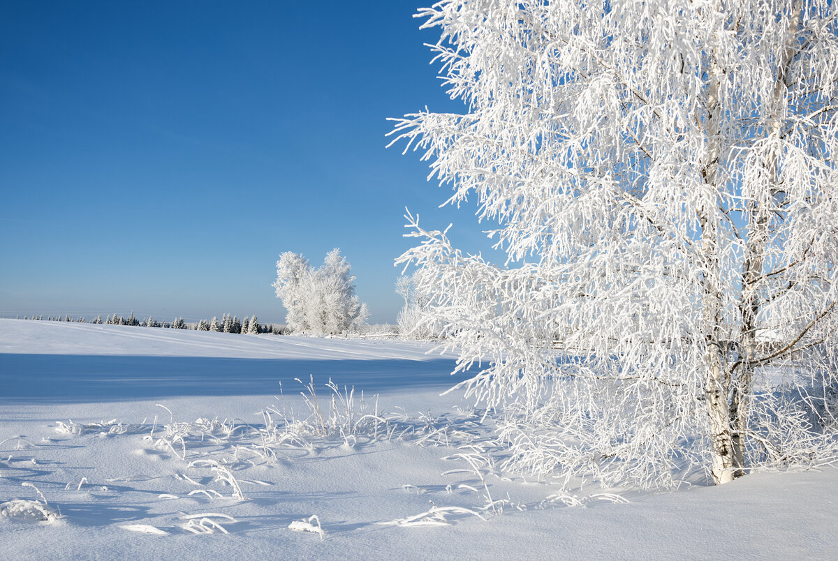 Песня белую поляну накрывает зима