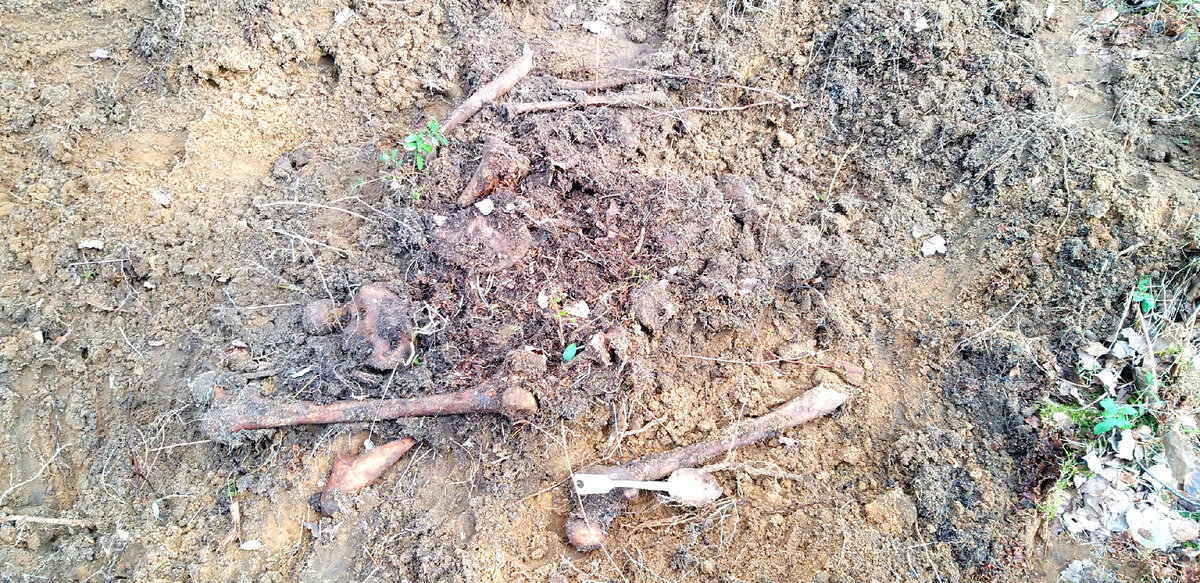 Фото автора канала