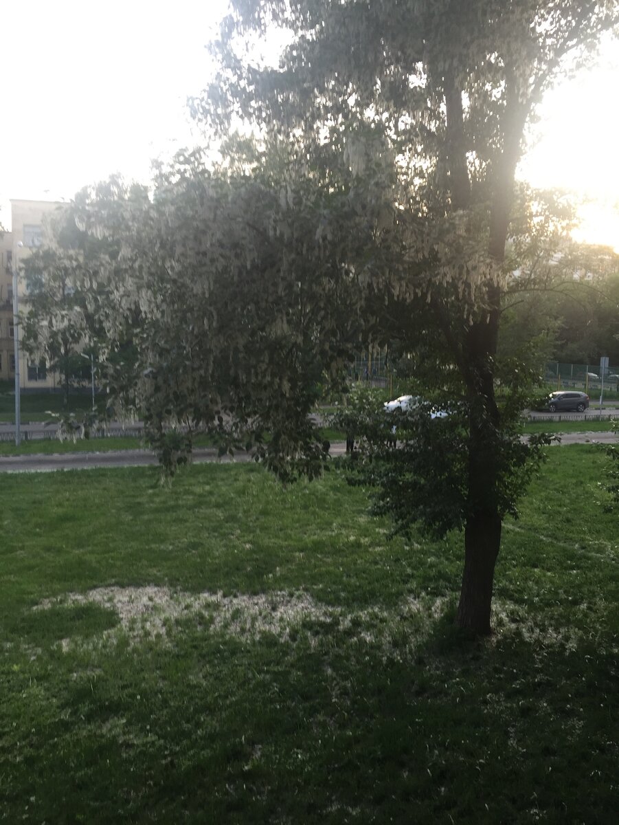 Отказ от квартиры по реновации. Опыт моих соседей. | Дневник ...